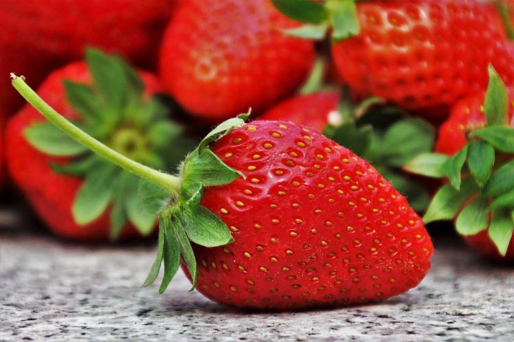 Hoe aardbeien vers houden en langer houdbaar maken?