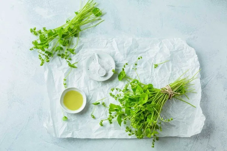 Hoe lang moet postelein koken?
